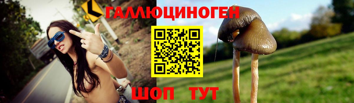Ипатово  Псилоцибиновые грибы Magic Shrooms  Вход с VPN 